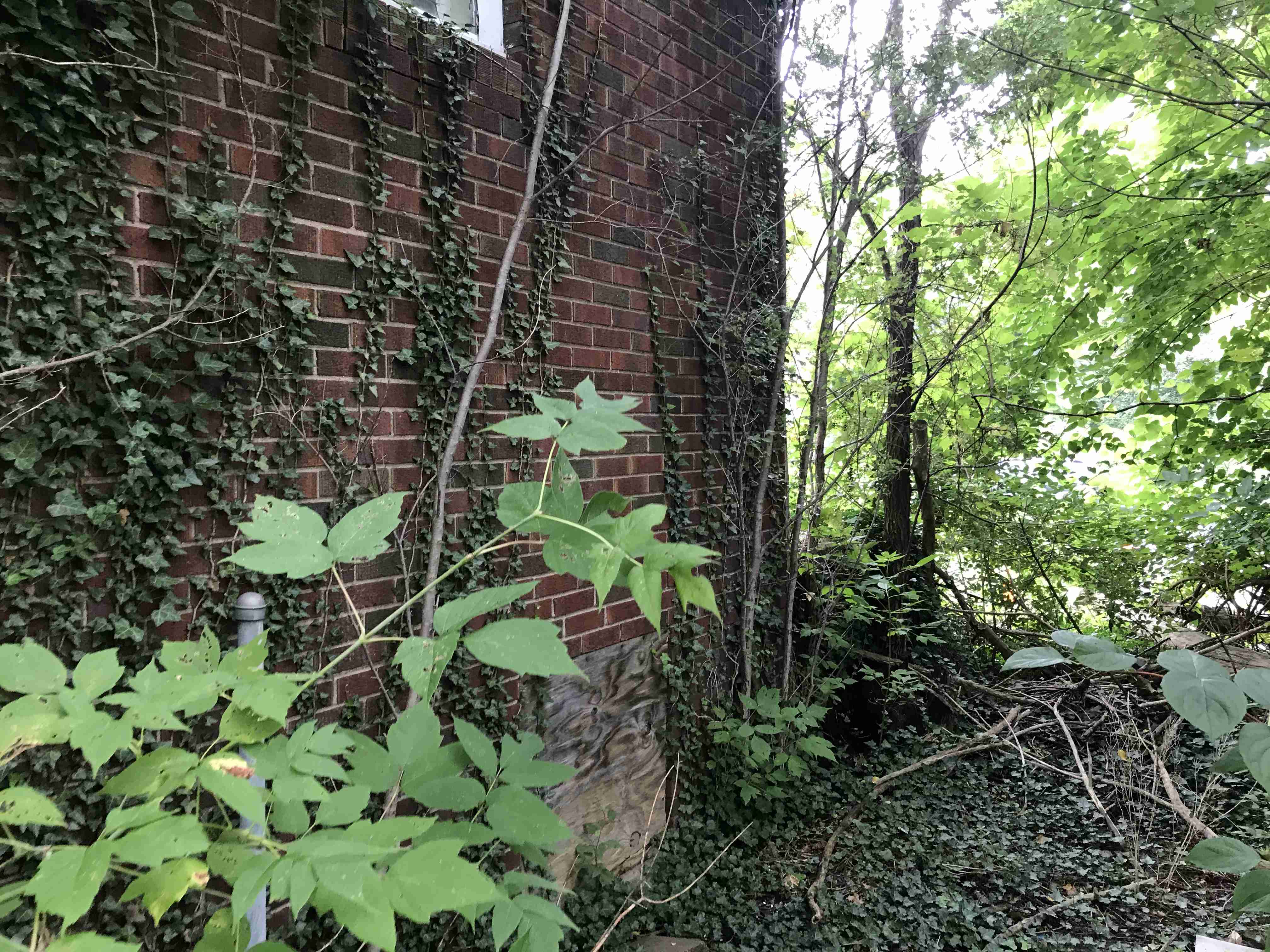 Photo Sep 10, 2 44 42 PM.jpg